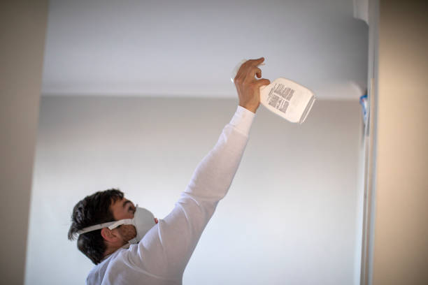 Plum Grove, TX Mold Remediation Company