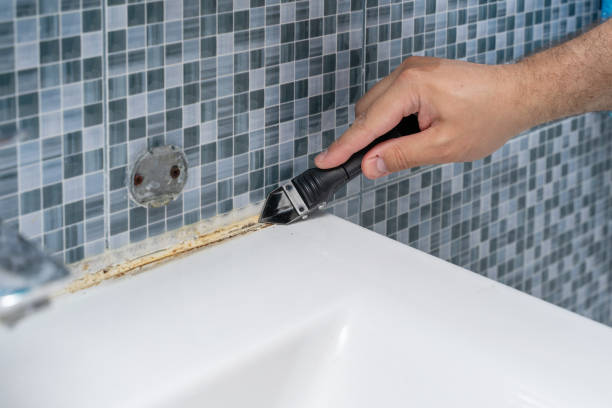 Best Post-Flood Mold Remediation in Plum Grove, TX