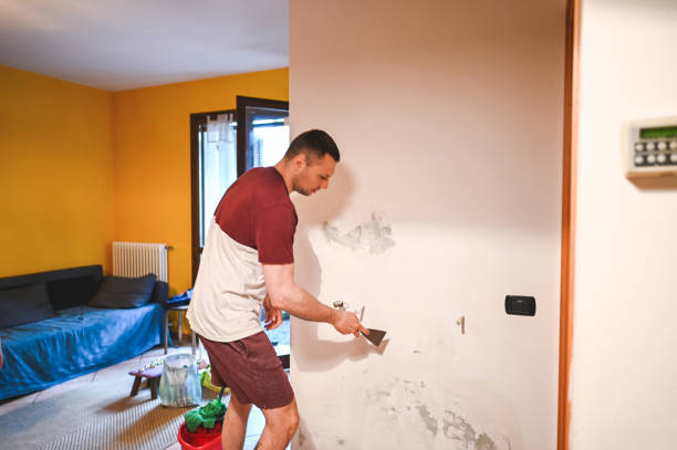Best Residential Mold Remediation in Plum Grove, TX